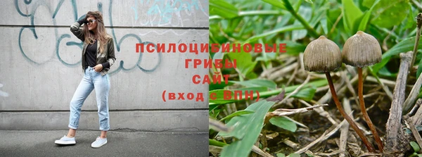 круглые Богородицк