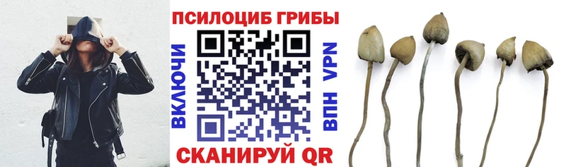 mega зеркало Тырныауз Галлюциногенные грибы MAGIC MUSHROOMS купить закладку
